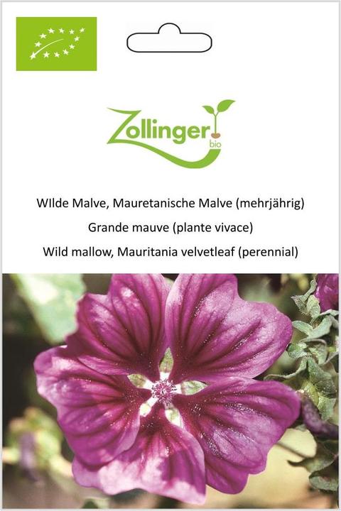 Immagine prodotto Zollinger Bio Malva selvatica, malva della Mauritania (perenne) (Semi di fiori)