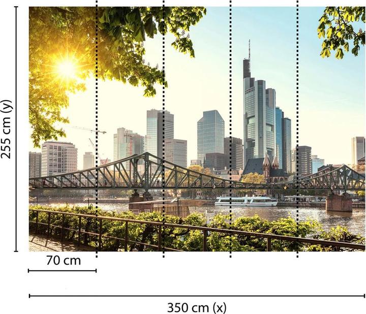 Image du produit Livingwalls Designwalls Frankfurt City Ville (350 x 255 cm)