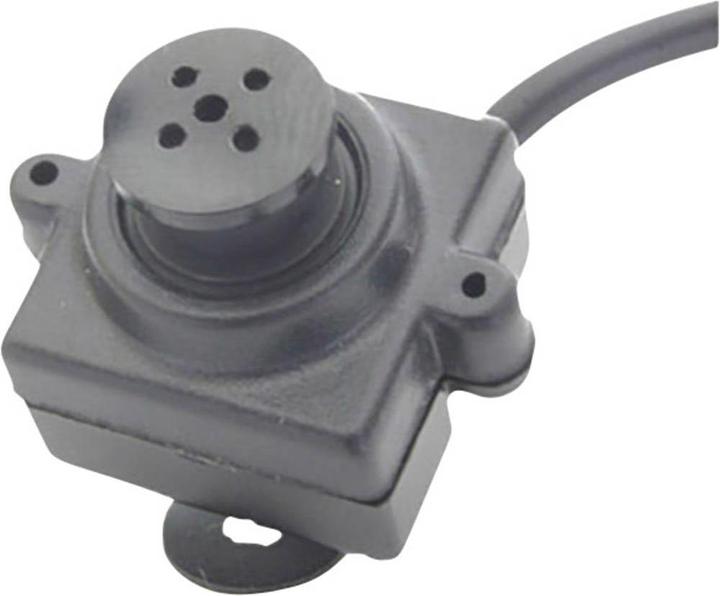 Actual product image Camouflaged surveillance camera in (640 x 480 pixels)
