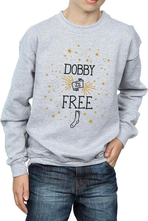 Dobby Is Free Sweatshirt Jungen