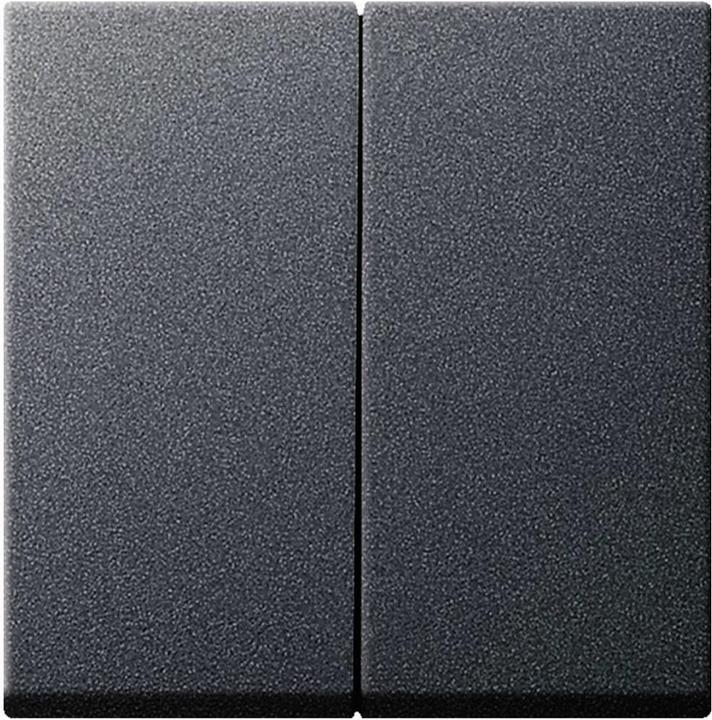 Actual product image Gira Cover series switch system