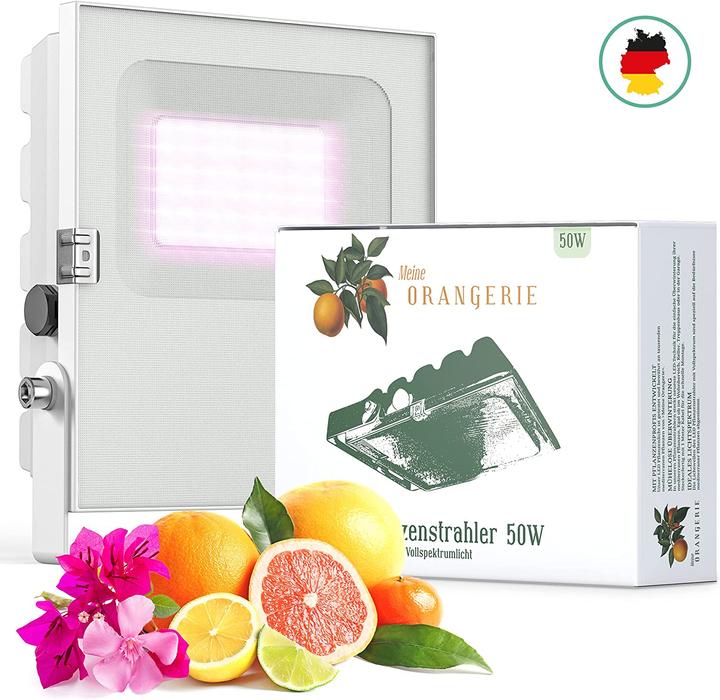 Actual product image Meine Orangerie Plant lamp (LED, 230 V)