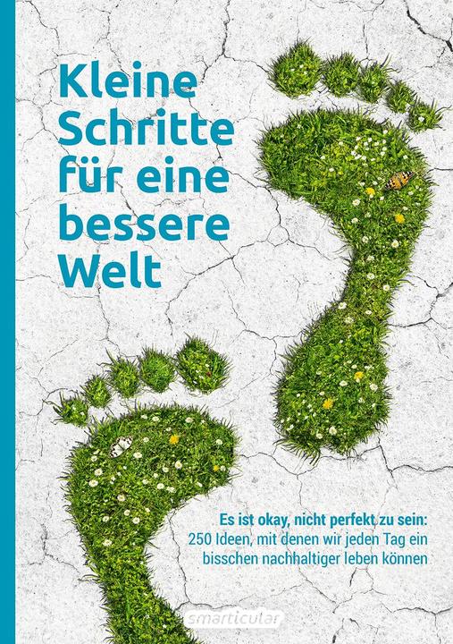 Actual product image Kleine Schritte für eine bessere Welt (German, smarticular publishing house, 2021)