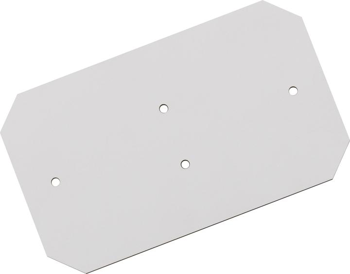 Actual product image Spelsberg TK Mounting plate for plastic housing (Various)