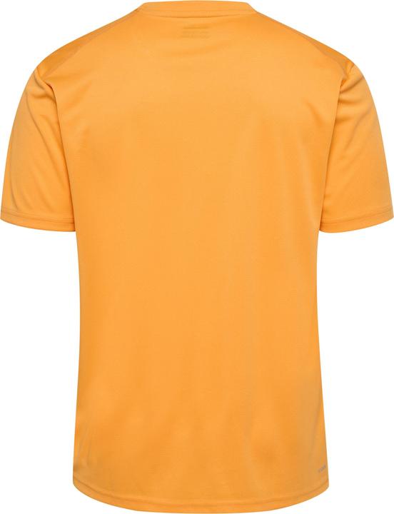 Arancione fiammeggiante