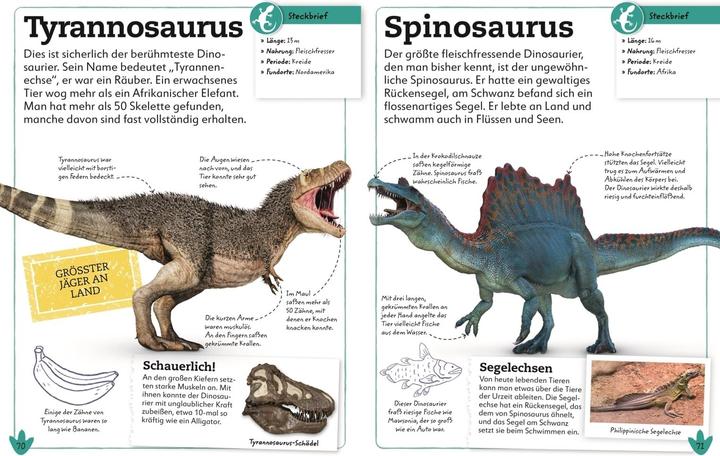 Produktbild Dinosaurier (Deutsch, DK Verlag - Kids, Dean Lomax, Eva Sixt, 2021)