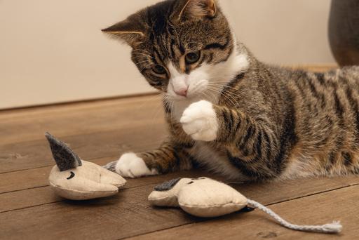 Image du produit Beeztees Minus One Jouet pour chats éléphant (Jouets avec herbe à chat)
