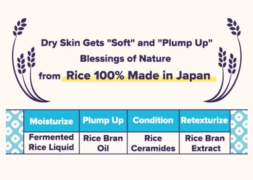 Image du produit Keana Nadeshiko Crème de riz 30g (30 ml, Crème 24h)