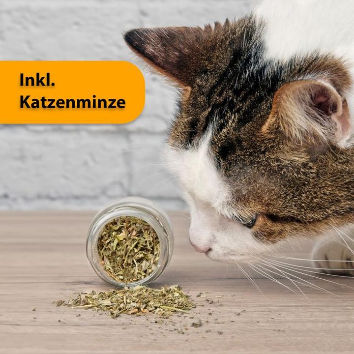 Produktbild Hermex Katzen Spielzeug (Beschäftigungsspielzeug Katze)