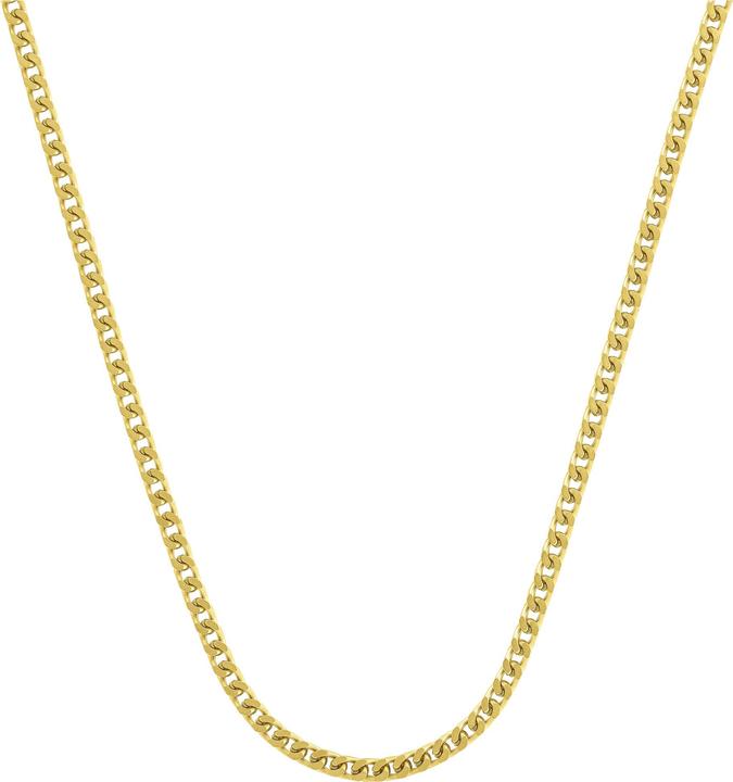 Actual product image Jourdan Gold steel necklace (Steel)