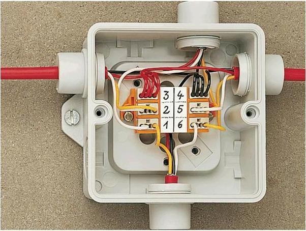 Actual product image Wago Plug-in terminal block Micro-Wago 4-fold, 100 pieces