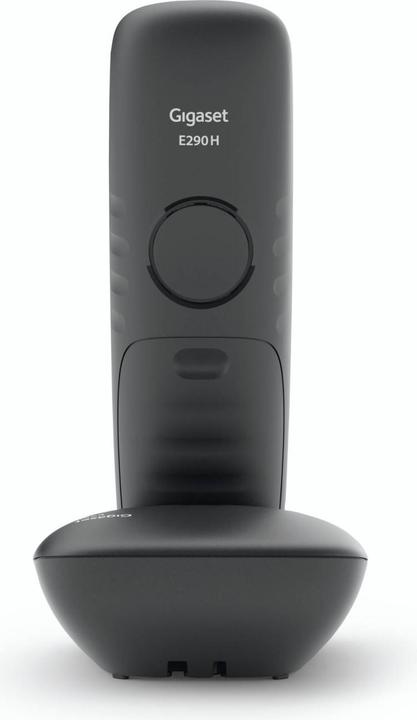 Productafbeelding Gigaset E290 Duo (DE versie)