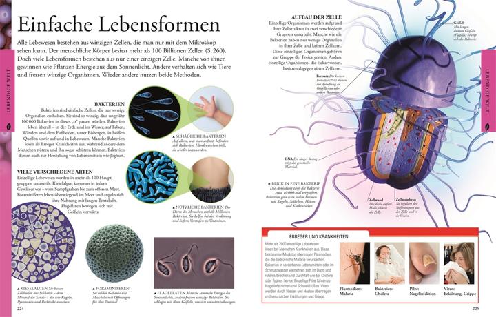 Image du produit Naturwissenschaften für clevere Kids (Allemand, Steve Parker., Chris Woodford, 2015)