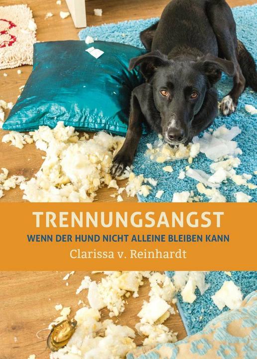 Trennungsangst (Tedesco, Clarissa von Reinhardt, 2016)