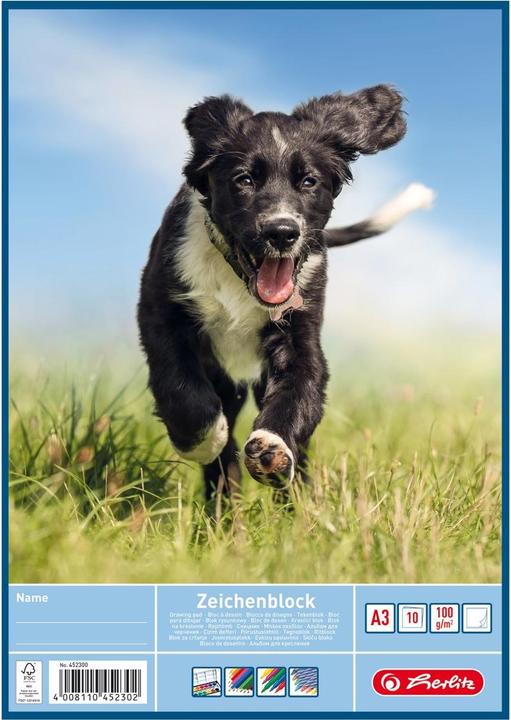 Produktbild Herlitz Zeichenblock DIN A4, 100 g/qm, 20 Blatt (A4, Kein Einband)
