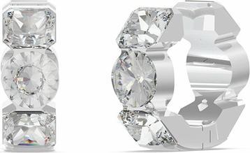 Guess Crazy Earrings JUBE03305JWRHT/U timeless earrings (Surgical steel)