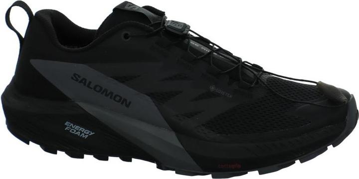 Produktbild Salomon Sense Ride 5 GTX (43 1/3)