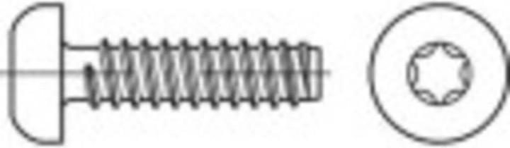 Toolcraft Linsenblechschrauben 6.3 mm 13 (500 Schrauben pro Stück)