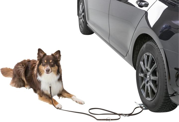 Produktbild Trixie Auffahrplatte zum Anleinen (Hund, Allgemein)