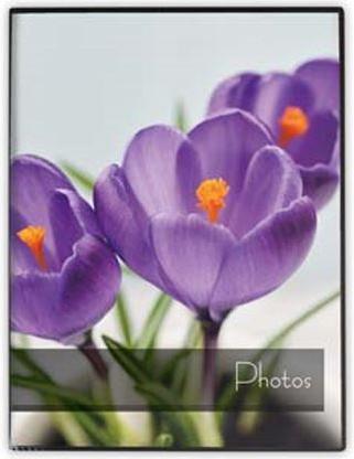 Immagine prodotto ZEP MA4640 Mini Album 40 foto 10x15 cm 36 pezzi. (10 x 15 cm)