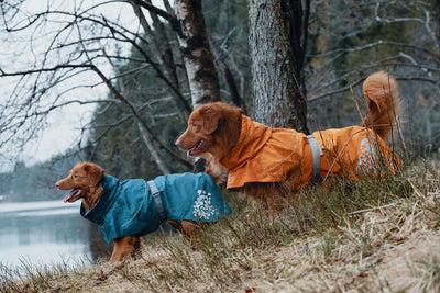 Actual product image Hurtta Monsoon Coat bilberry (65, Dog coat)