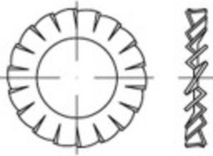 Actual product image Toolcraft Serrated lock washers inner diameter