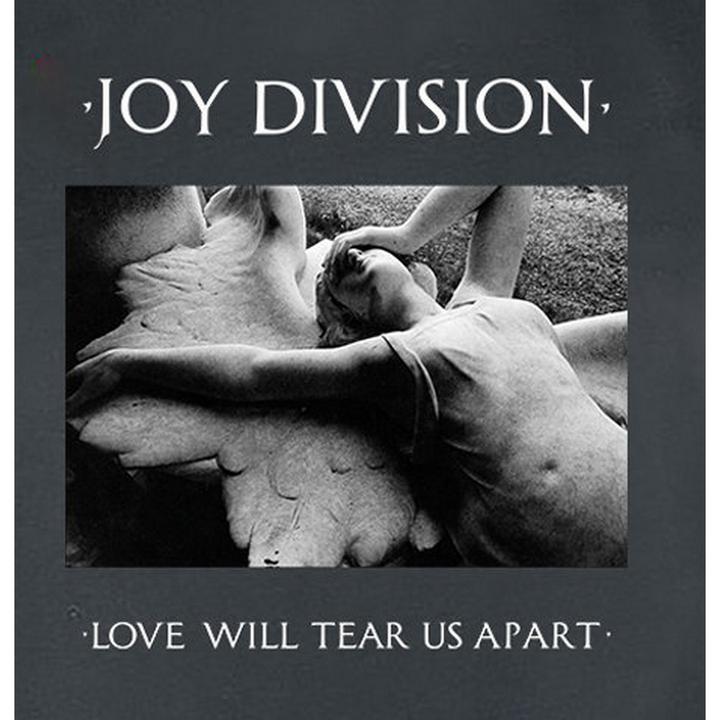 Produktbild Amplified Love Will Tear Us Apart TShirt (XS)