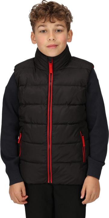 Actual product image Regatta Childrens/Kids Scholar Thermal Body Warmer (116)