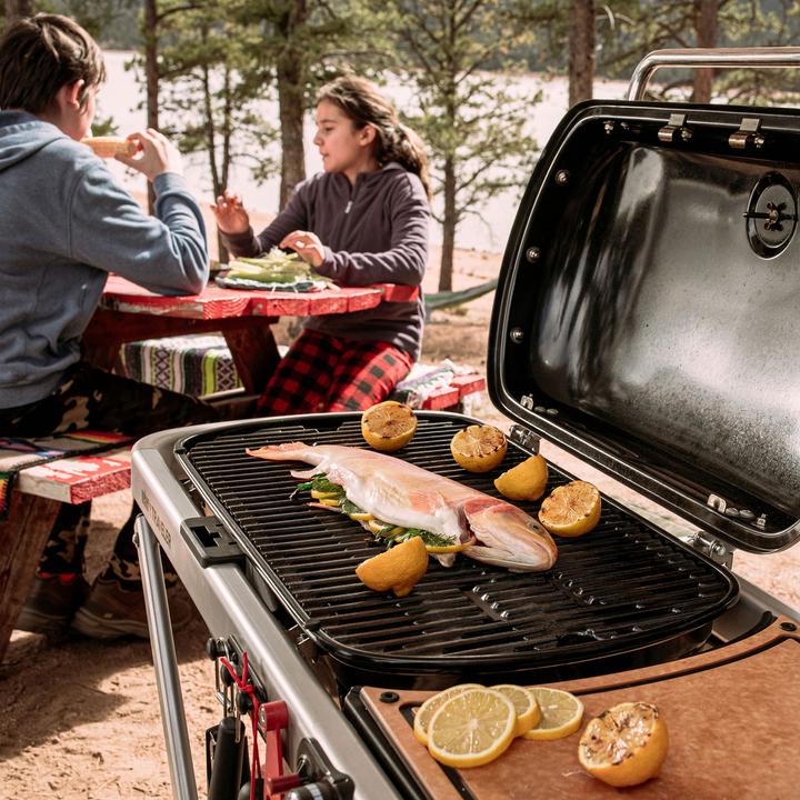 Immagine prodotto Weber Viaggiatore (3.80 kW)