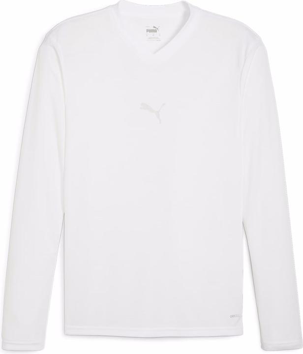 Actual product image Puma teamGOAL Baselayer Tee LS (M)