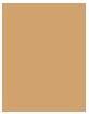 Produktbild Estée Lauder Double Wear Stay-in-Place (2W2 Rattan)