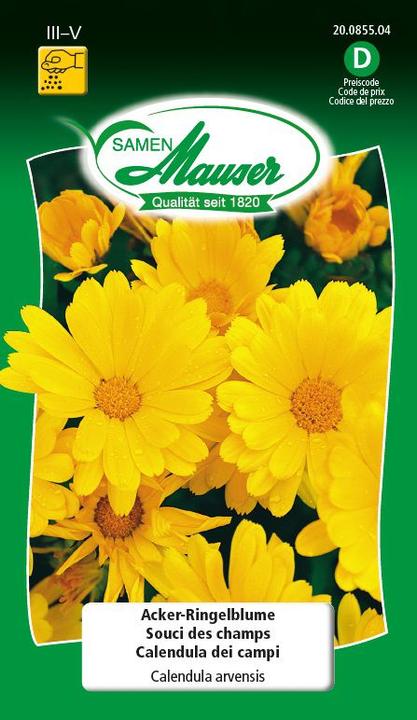 Actual product image Samen Mauser Field Marigold (Plant seeds)