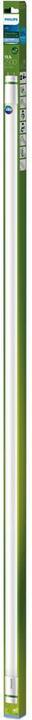 Actual product image Philips LED fluorescent tube (G13, 13.50 W, 2500 lm, 1 x, B)