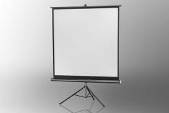 Actual product image Celexon Economy tripod screen - Projection screen with tripod - 188 cm (74") (74.02", 1:1)