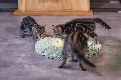 Immagine prodotto Beeztees Bz Gattino Flowi Snapmat