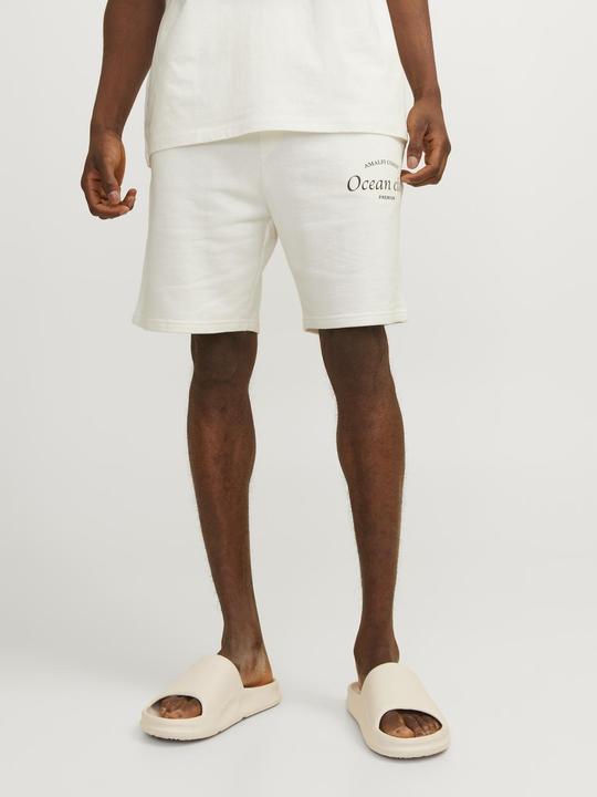 Image du produit Jack & Jones Jprblaocean Club Sweat Shorts (L)