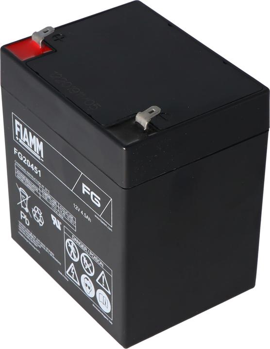Fiamm Battery FG20451 (12 V, 4.50 Ah)