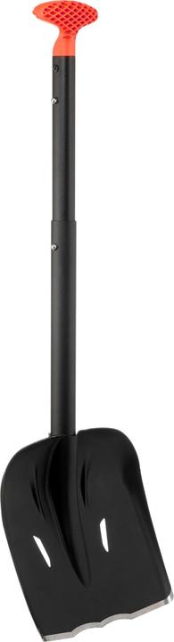 Actual product image Wedze SKI-MO