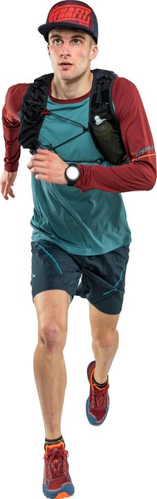 Actual product image Dynafit Alpine Pro Long Sleeve Tee (XXL)