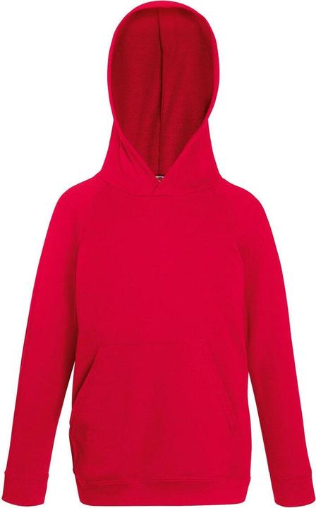 Produktbild Fruit of the Loom Kapuzen Pullover (164)