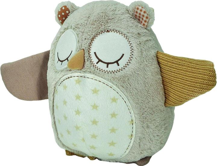 Actual product image Cloud B Owl with motion sensor (CB0027)