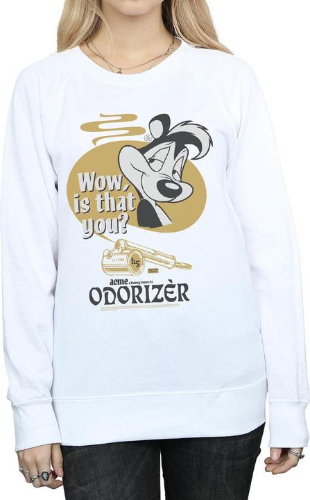 Actual product image Looney Tunes Womens/Ladies Odorizer Pepe Le Pew Sweatshirt (XXL)