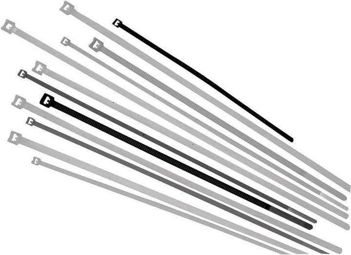 Actual product image Lapp Cable tie 200 mm Black UV- (Plastic cable ties, 200 mm, 100 pcs.)