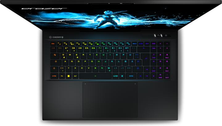 Produktbild Medion Beast X40 MD62611 (17", Intel Core i9-14900HX, 32 GB, 1000 GB, Eng. Int.)