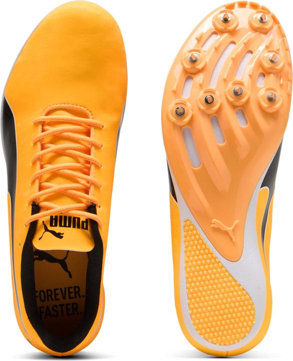 Immagine prodotto Puma evoSPEED Sprint 14.5 (45)