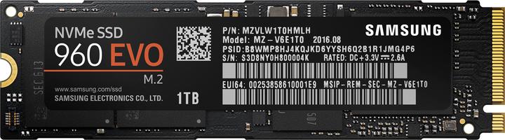 Samsung 960 Evo (1000 GB, M.2)