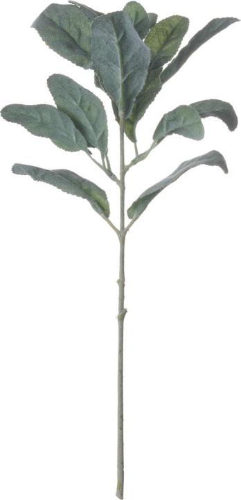 Hill Interiors Plante artificielle Oreille d'agneau (35 cm)
