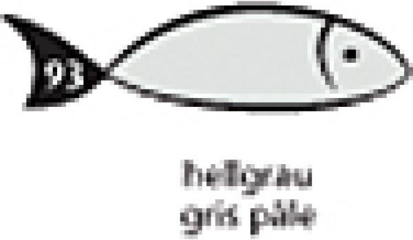 Actual product image Papyrus Envelope - Rainbow (C5, 250 x)