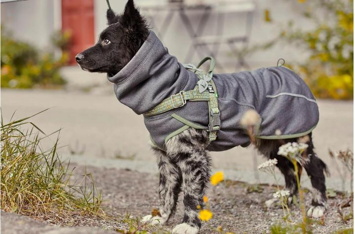 Actual product image Hurtta Razzle-Dazzle blackberry Gr.40 (S, Dog jumper)