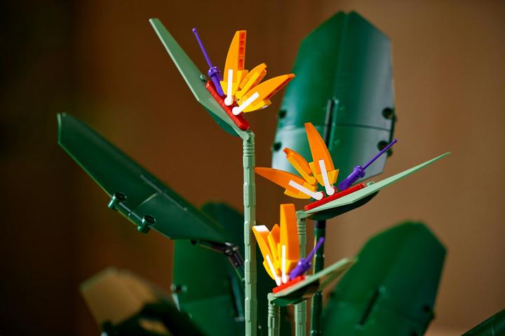Produktbild LEGO Bird of Paradise (10289, LEGO Seltene Sets)